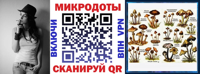 Галлюциногенные грибы мухоморы  ОМГ ОМГ   Торопец 